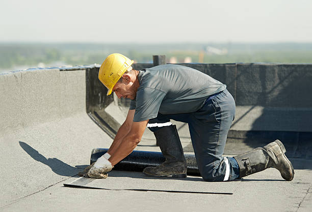 Best Residential Insulation in Chicopee, MA