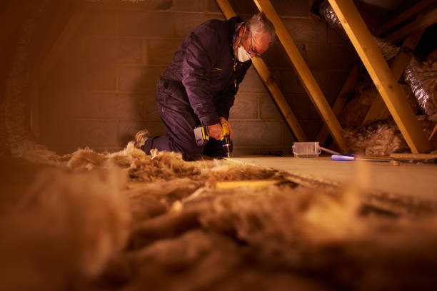 Best Cellulose Insulation in Chicopee, MA